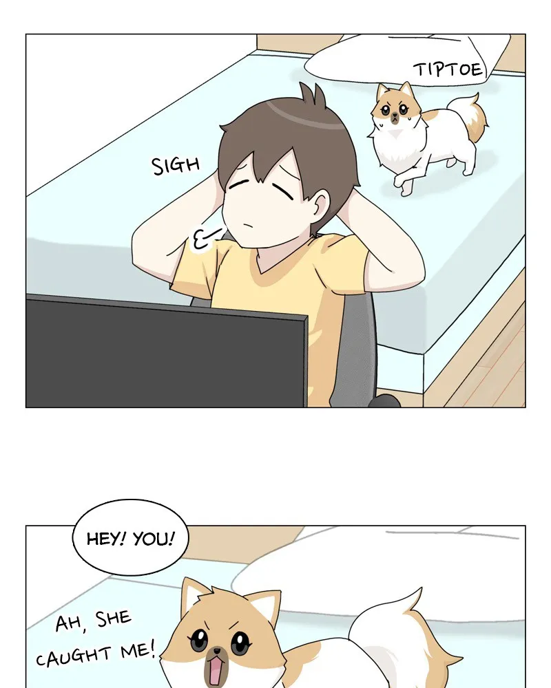 Read The Dog Diaries chapter 54 image 65 on Lezhin