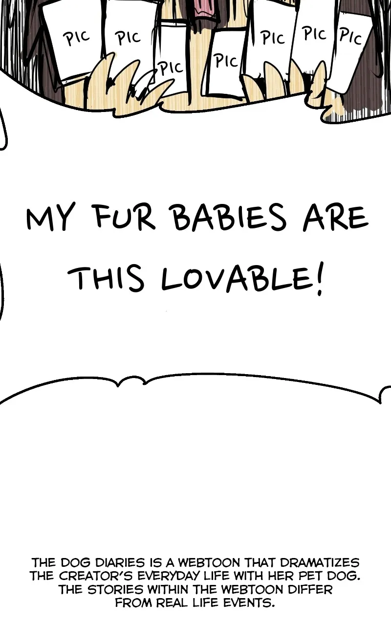 Read The Dog Diaries chapter 70 image 11 on Lezhin