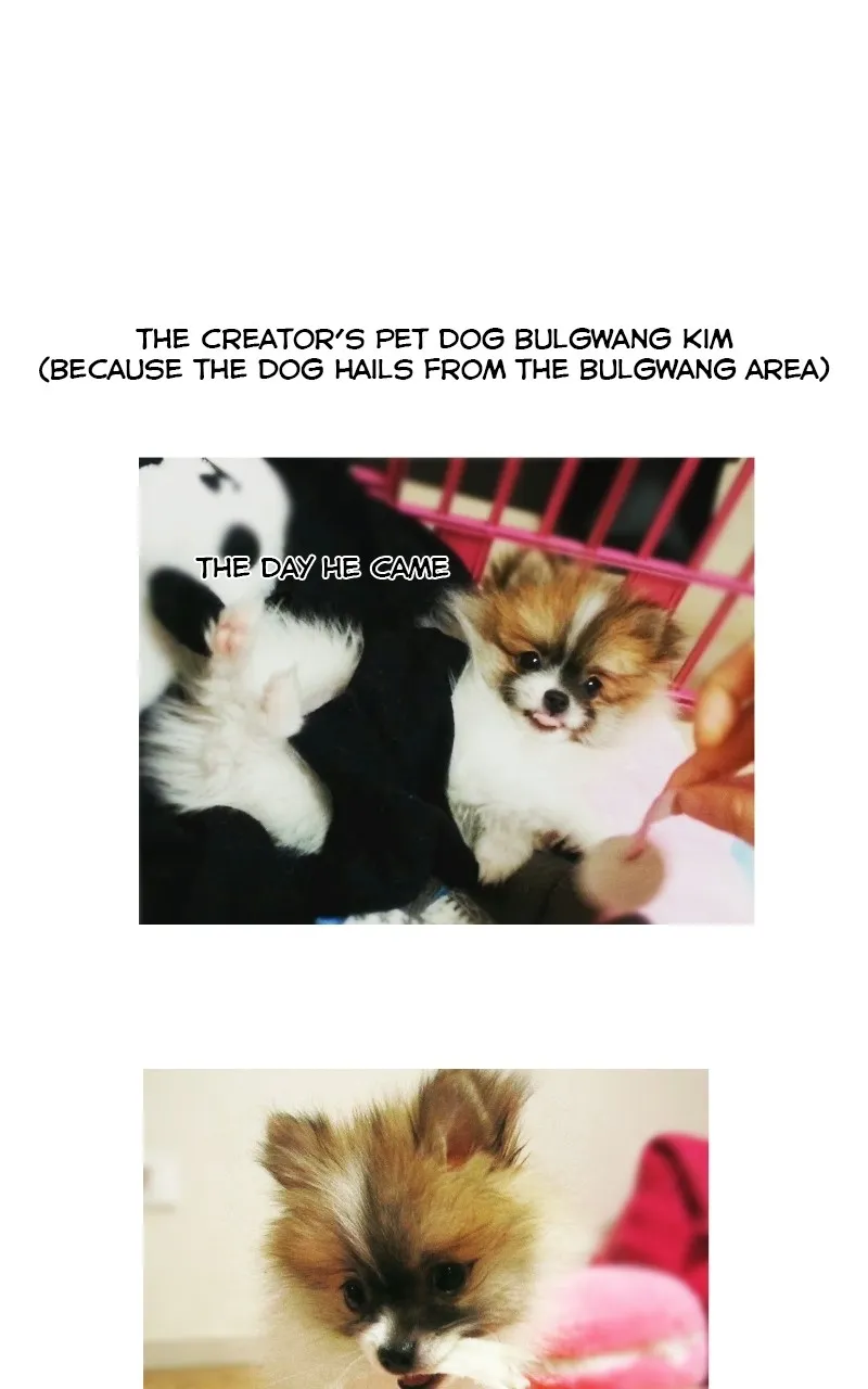 Read The Dog Diaries chapter 70 image 12 on Lezhin