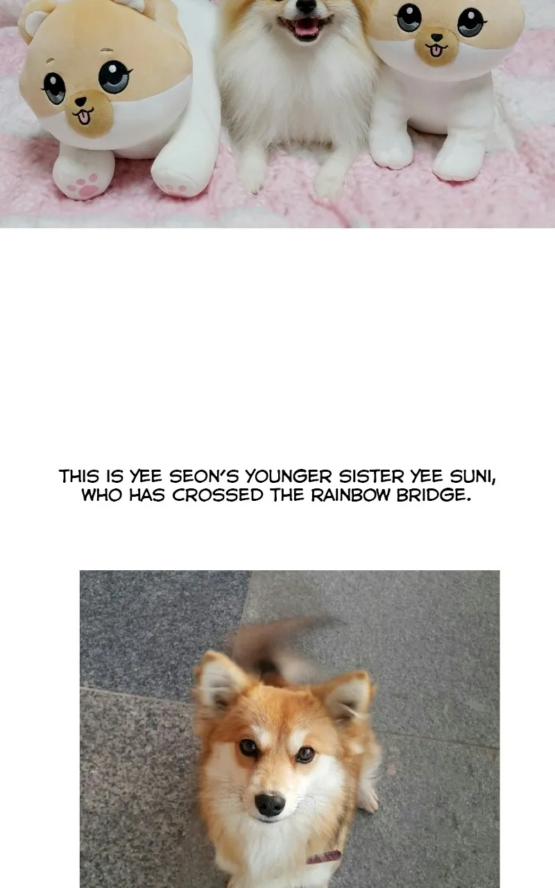 Read The Dog Diaries chapter 70 image 14 on Lezhin