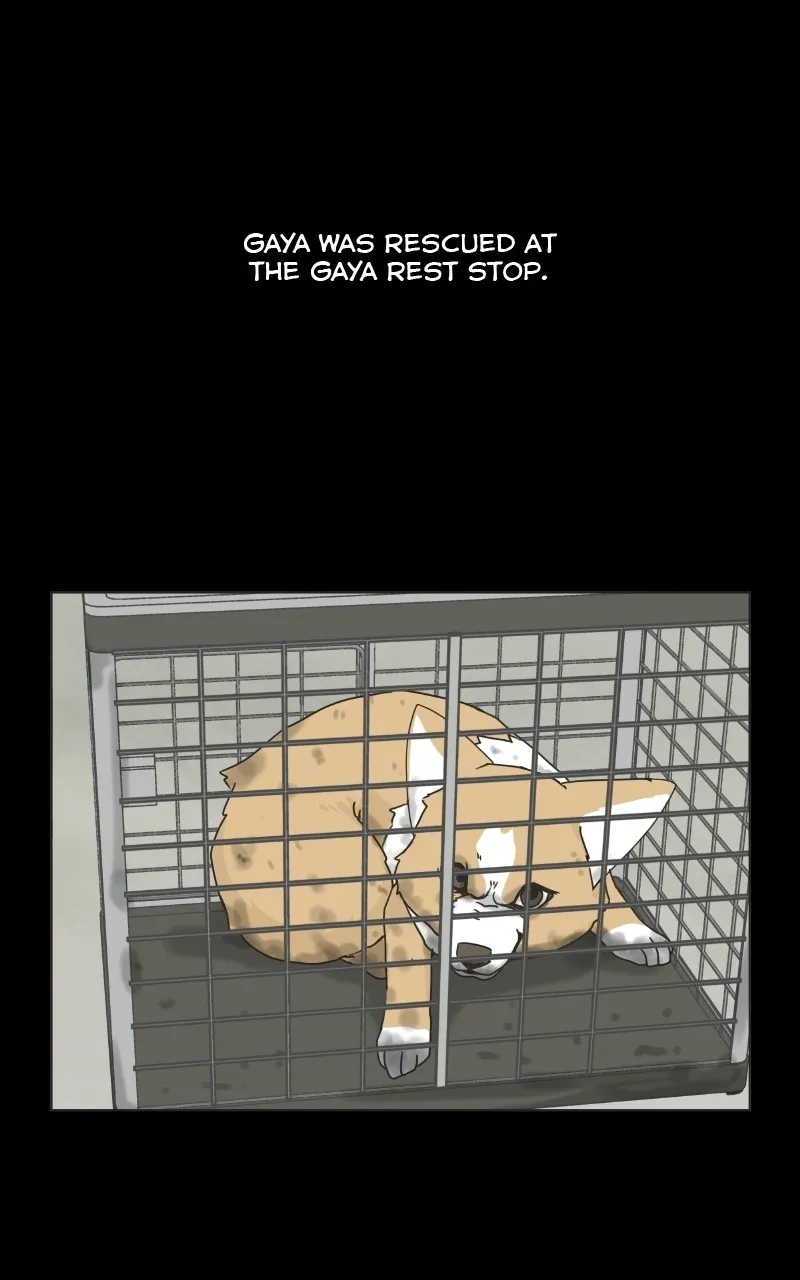 Read The Dog Diaries chapter 78 image 0 on Lezhin