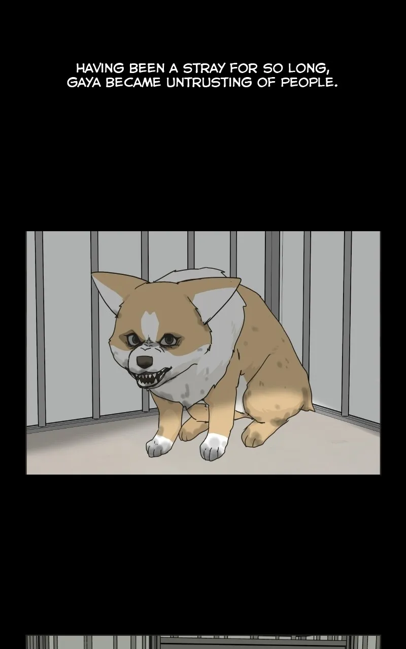 Read The Dog Diaries chapter 78 image 1 on Lezhin