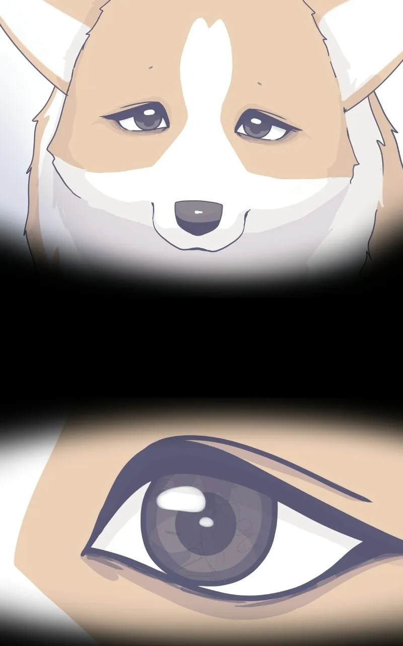 Read The Dog Diaries chapter 78 image 19 on Lezhin