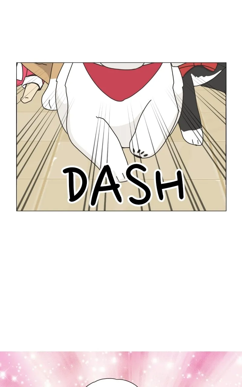 Read The Dog Diaries chapter 78 image 26 on Lezhin