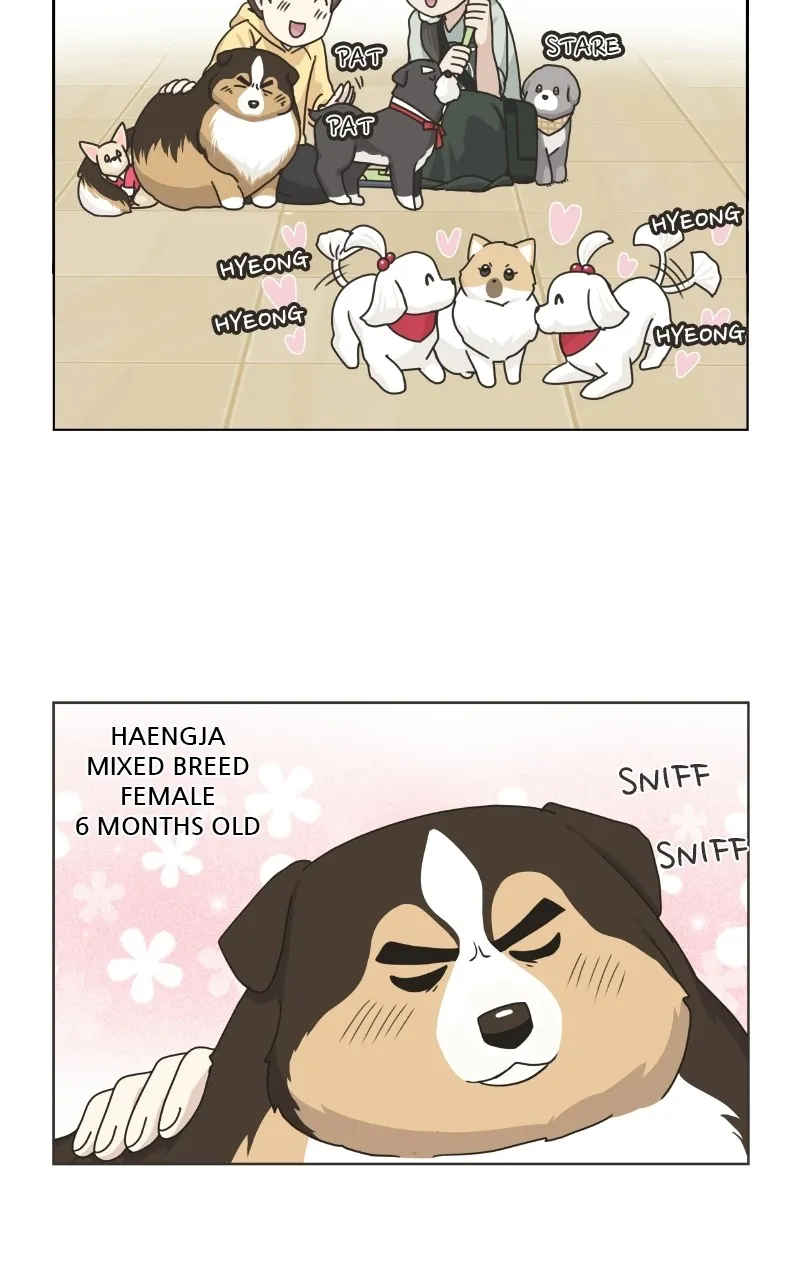 Read The Dog Diaries chapter 78 image 28 on Lezhin
