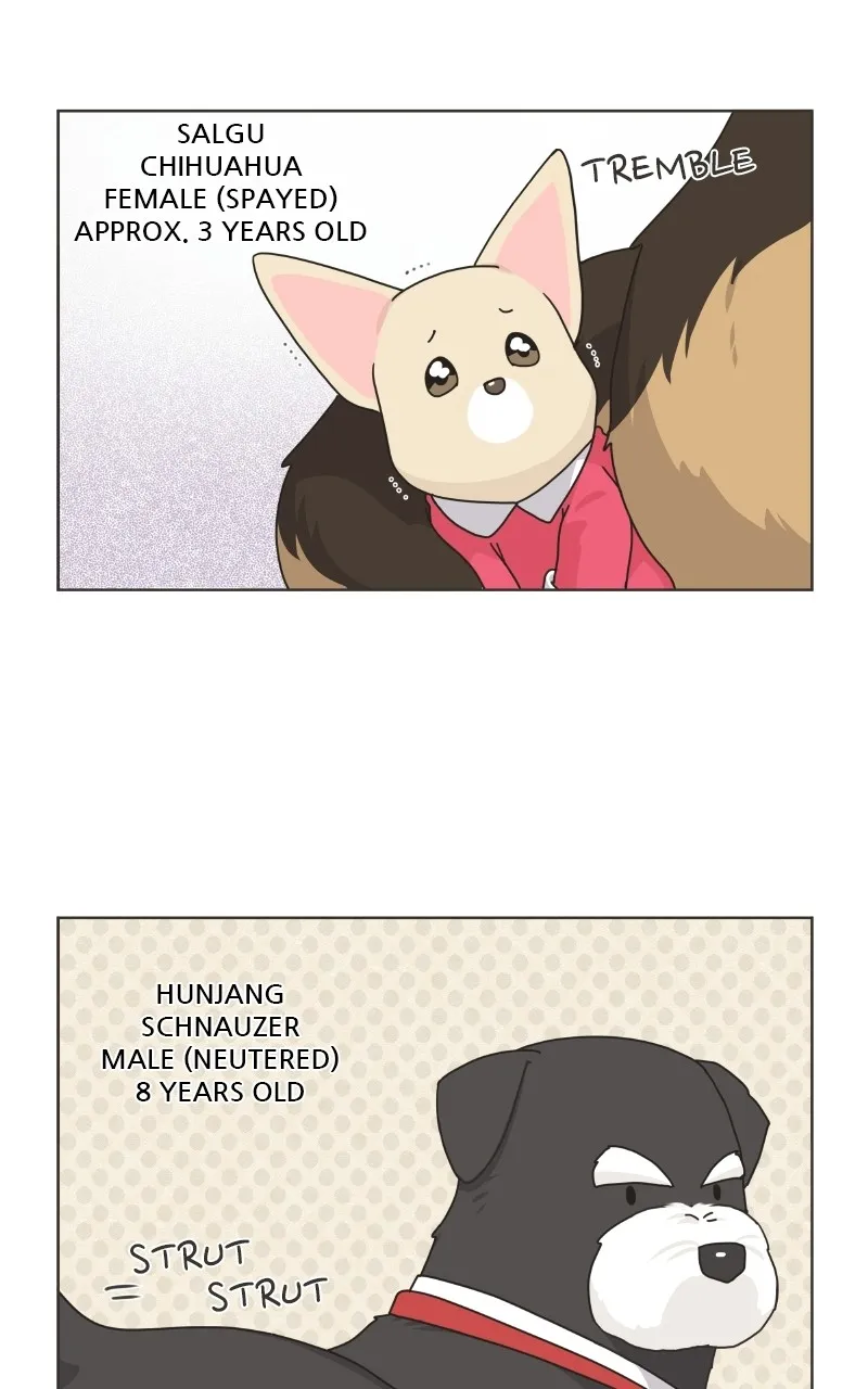 Read The Dog Diaries chapter 78 image 29 on Lezhin