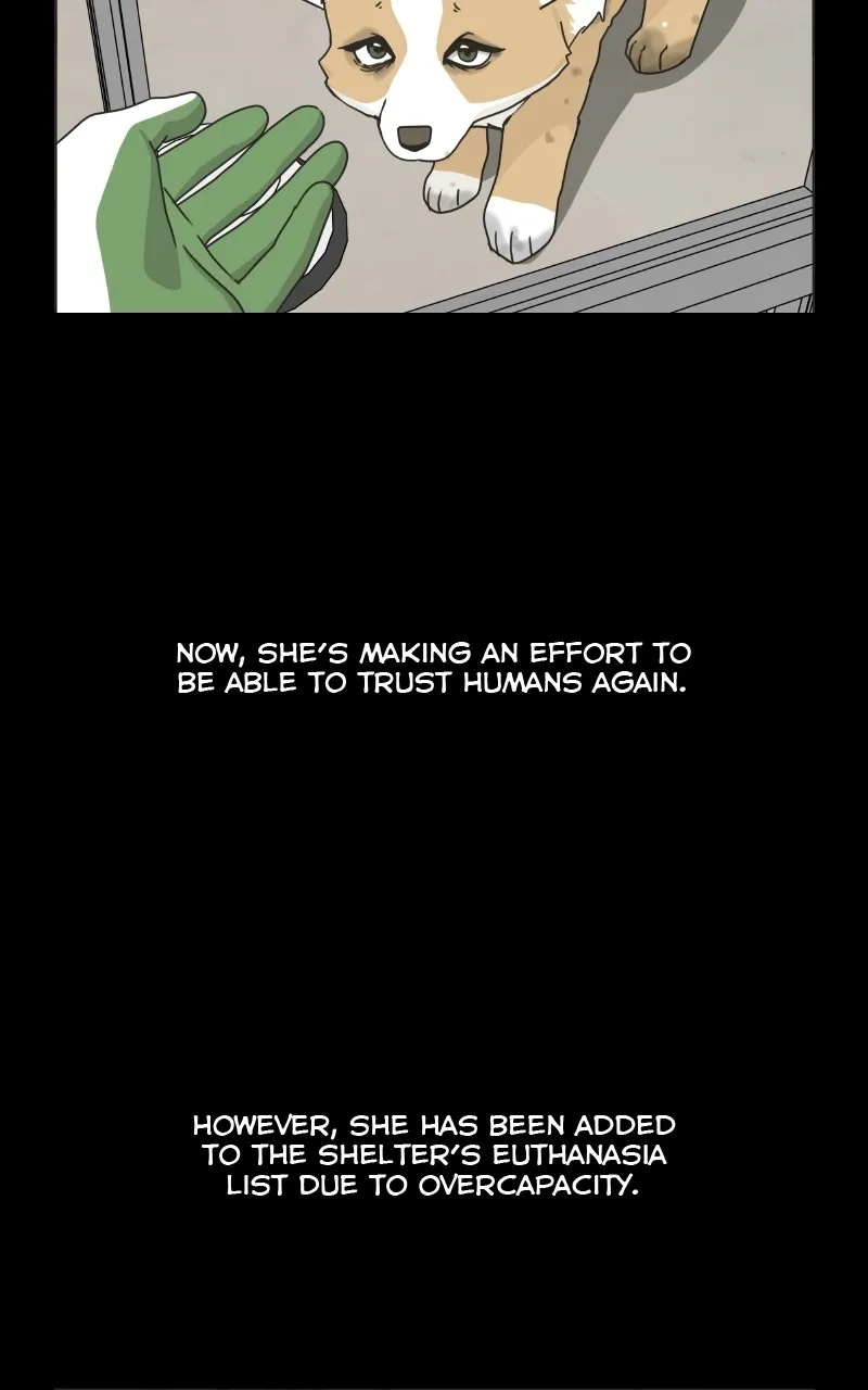 Read The Dog Diaries chapter 78 image 3 on Lezhin