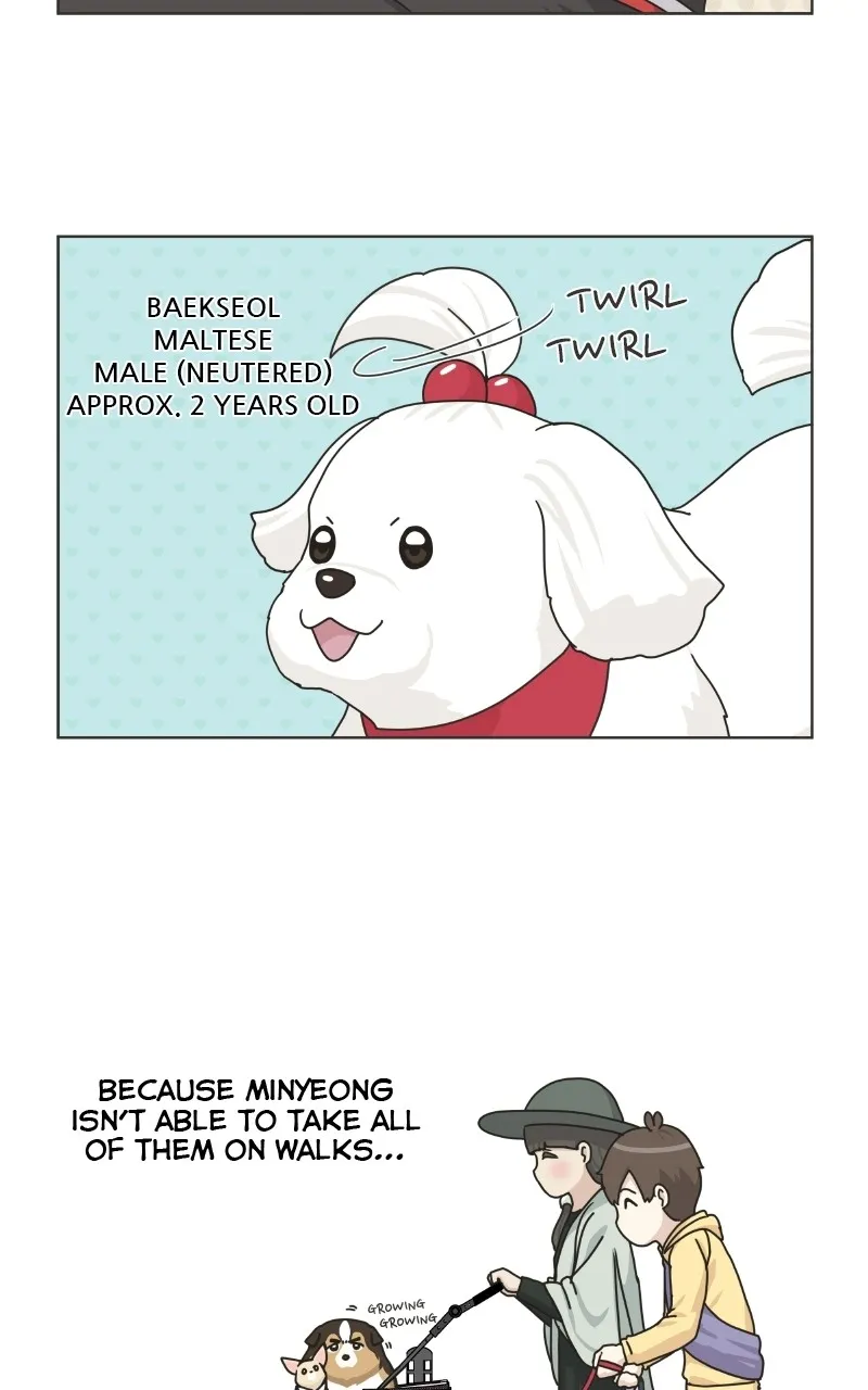 Read The Dog Diaries chapter 78 image 30 on Lezhin