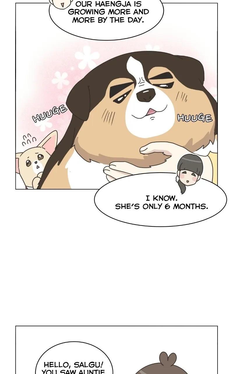 Read The Dog Diaries chapter 78 image 33 on Lezhin