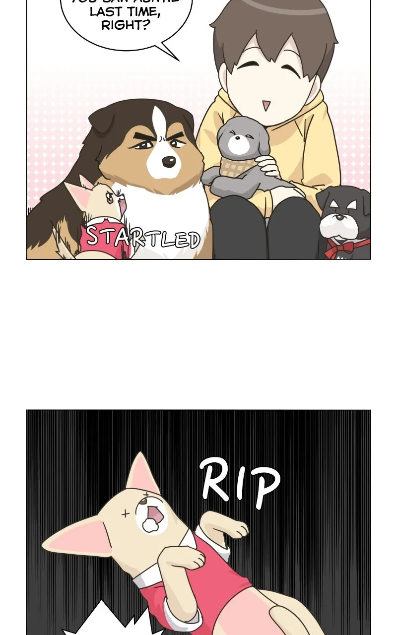 Read The Dog Diaries chapter 78 image 34 on Lezhin