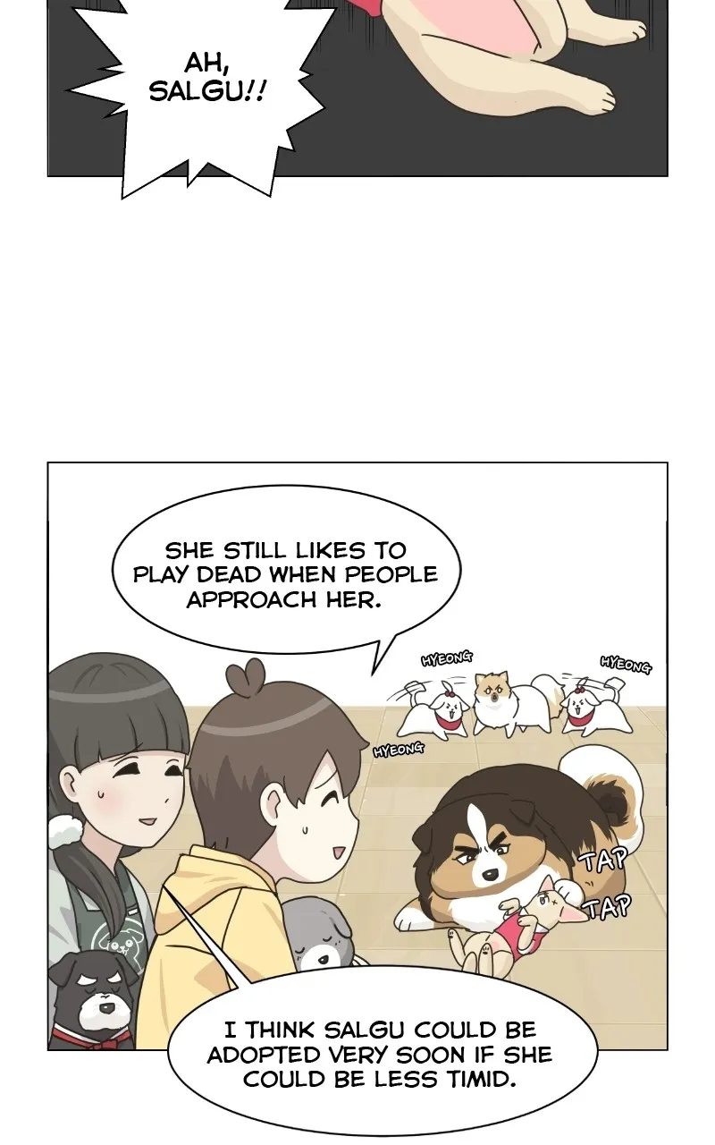 Read The Dog Diaries chapter 78 image 35 on Lezhin