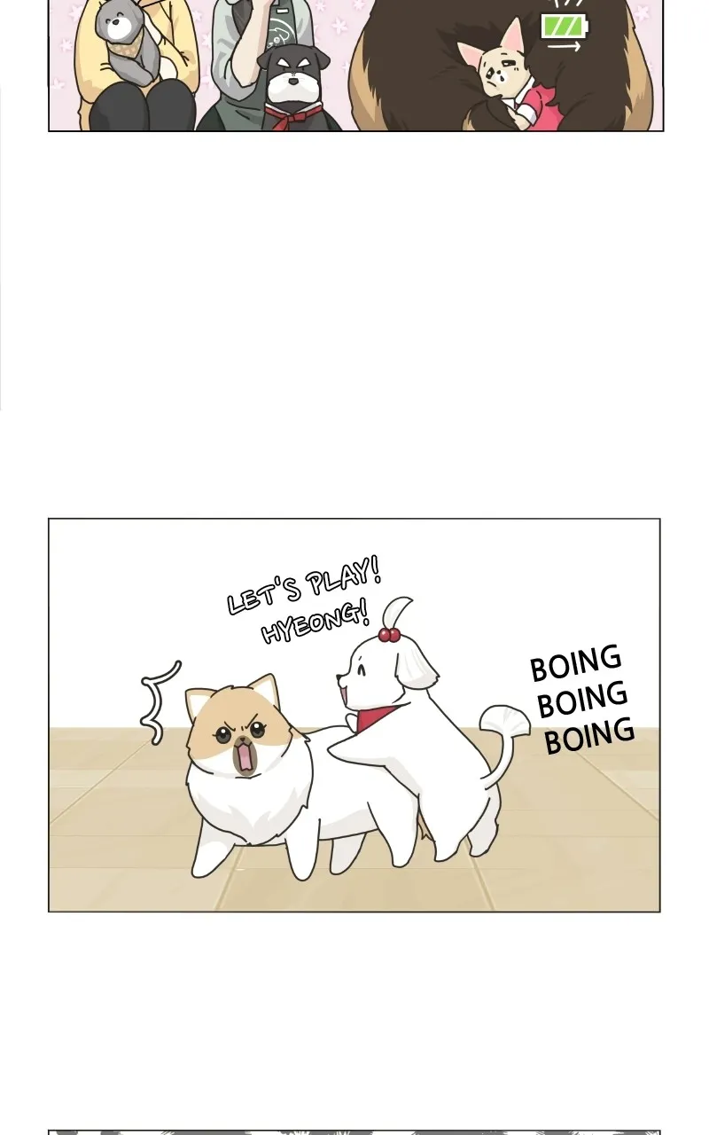 Read The Dog Diaries chapter 78 image 37 on Lezhin