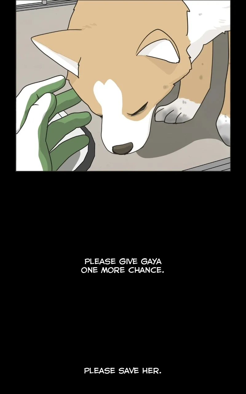 Read The Dog Diaries chapter 78 image 4 on Lezhin