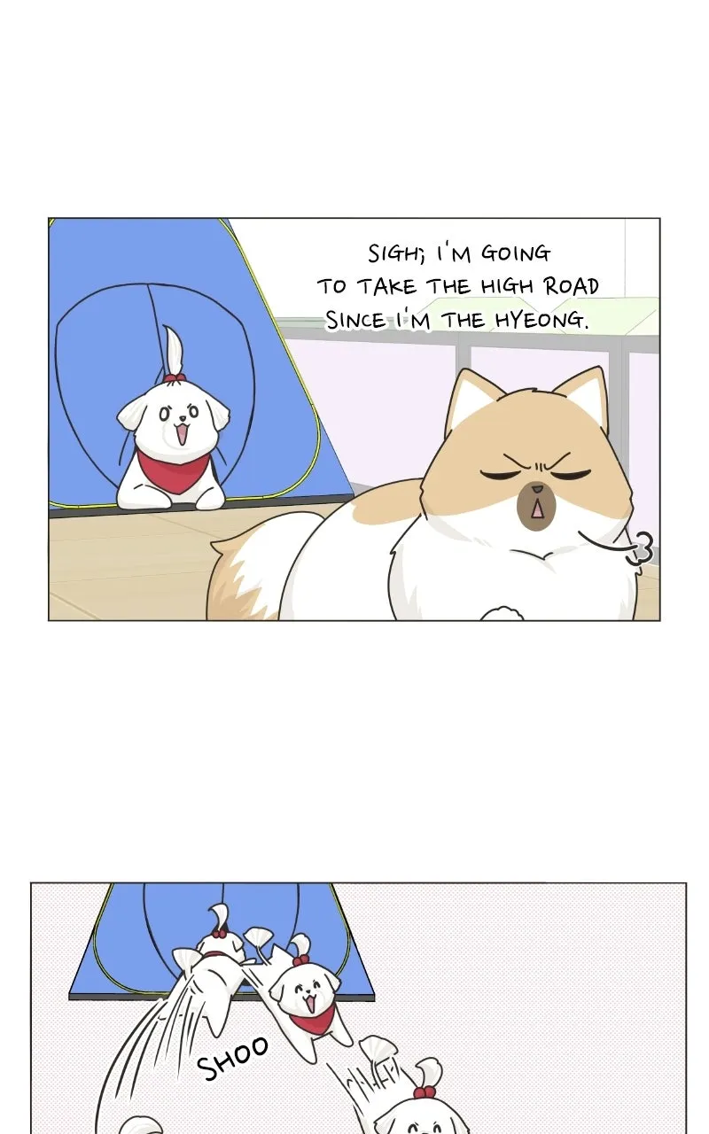 Read The Dog Diaries chapter 78 image 40 on Lezhin