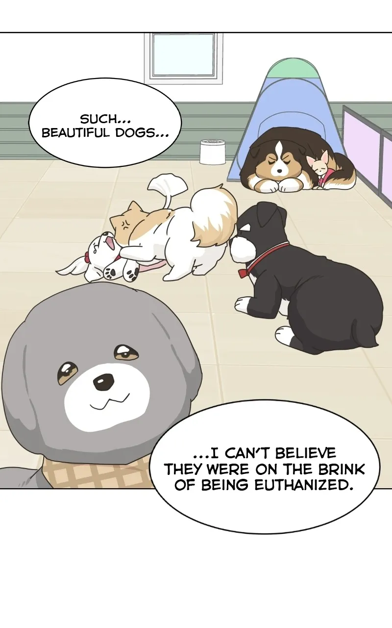 Read The Dog Diaries chapter 78 image 57 on Lezhin