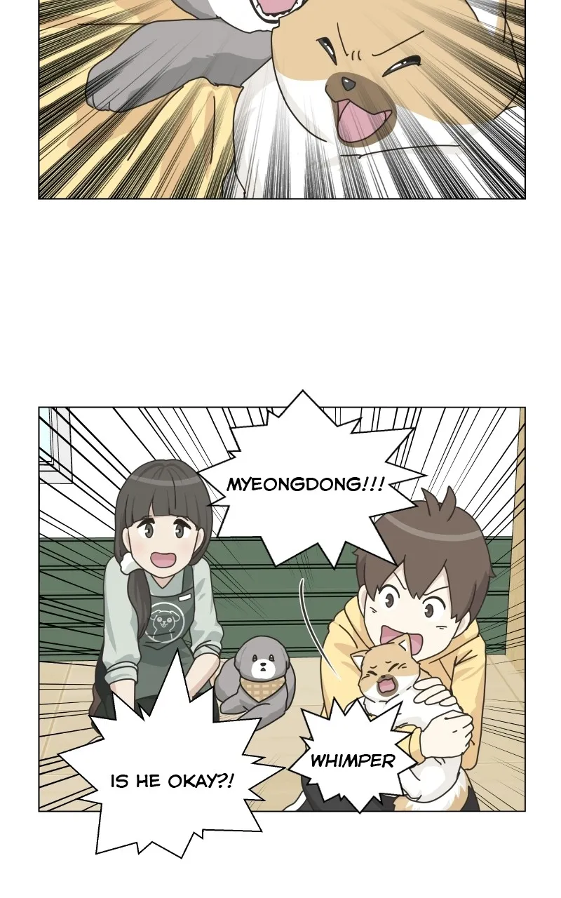 Read The Dog Diaries chapter 78 image 62 on Lezhin
