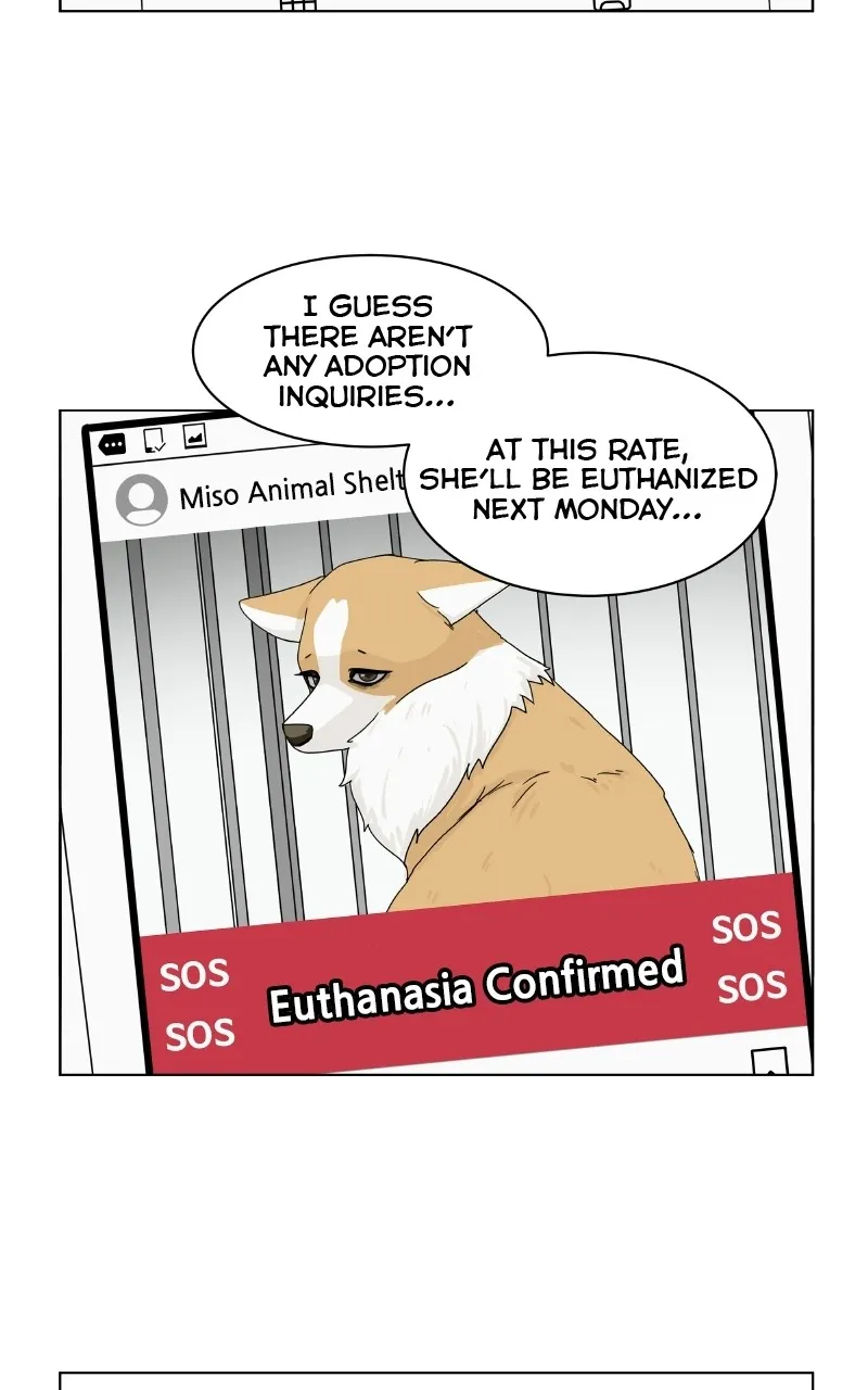 Read The Dog Diaries chapter 78 image 7 on Lezhin