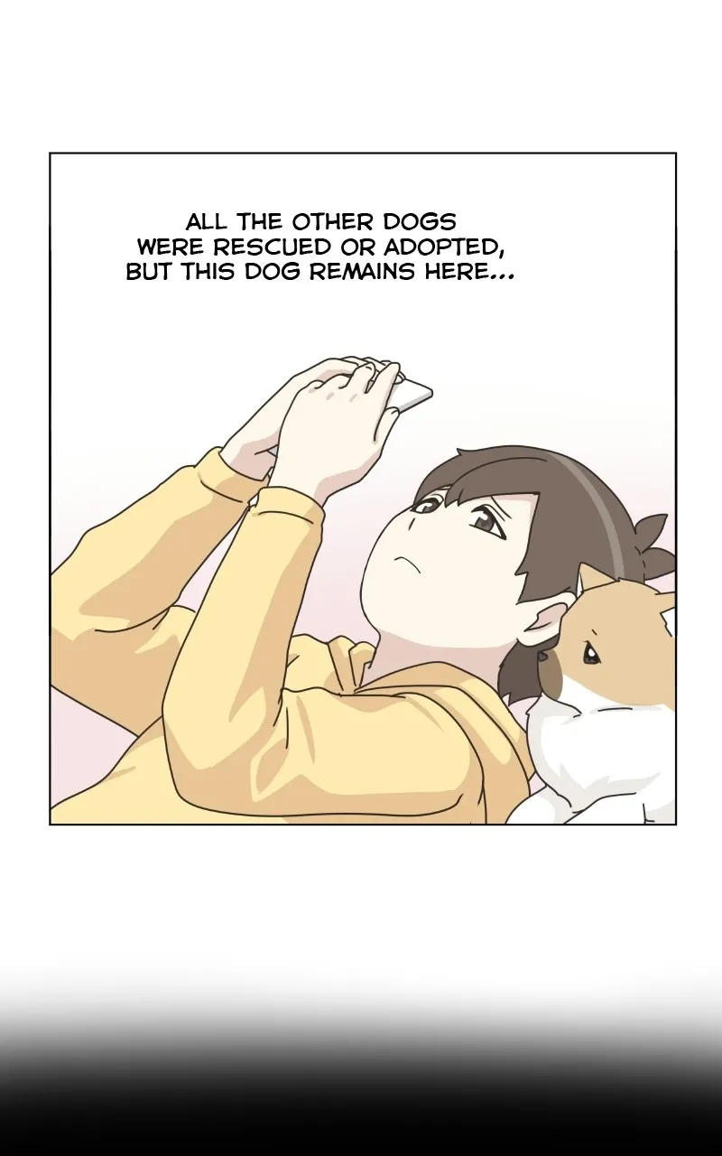 Read The Dog Diaries chapter 78 image 70 on Lezhin