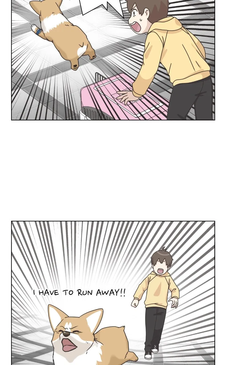 Read The Dog Diaries chapter 84 image 1 on Lezhin