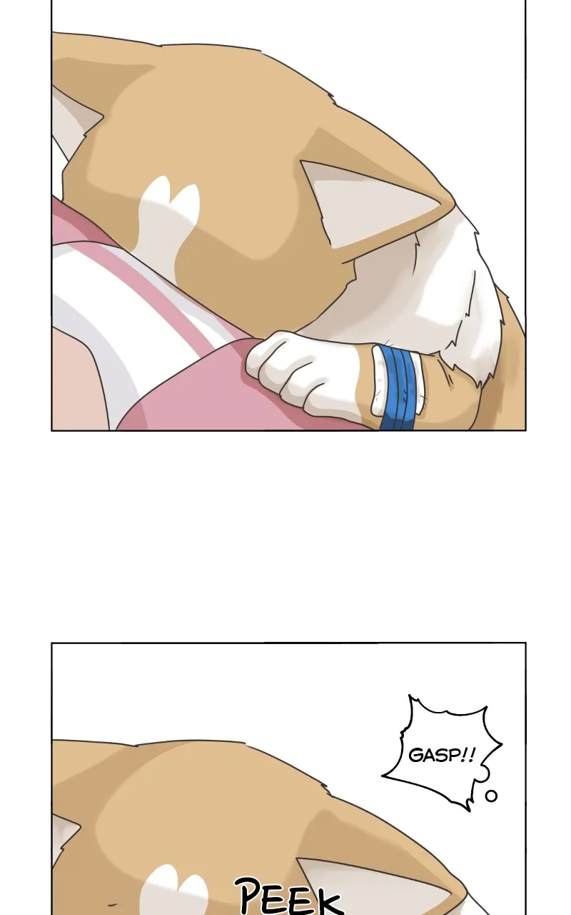 Read The Dog Diaries chapter 84 image 22 on Lezhin