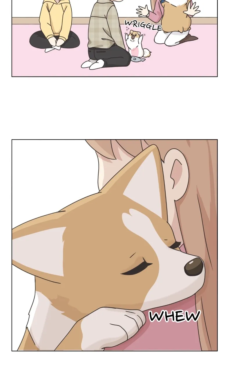 Read The Dog Diaries chapter 84 image 42 on Lezhin