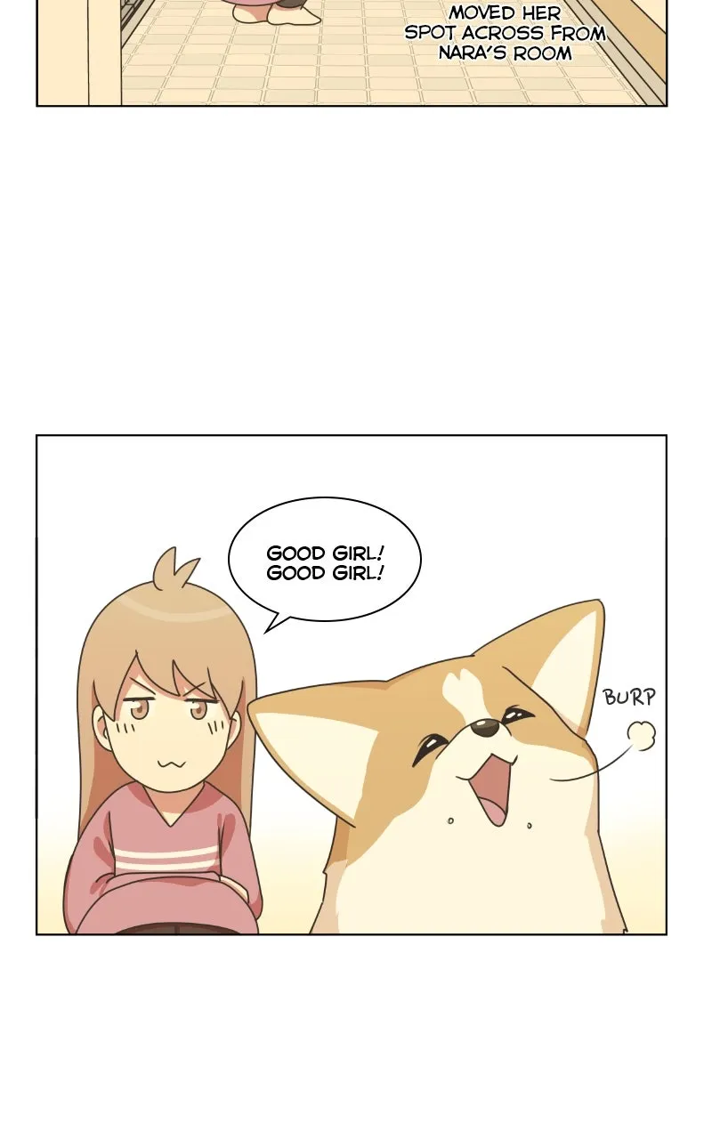 Read The Dog Diaries chapter 84 image 52 on Lezhin