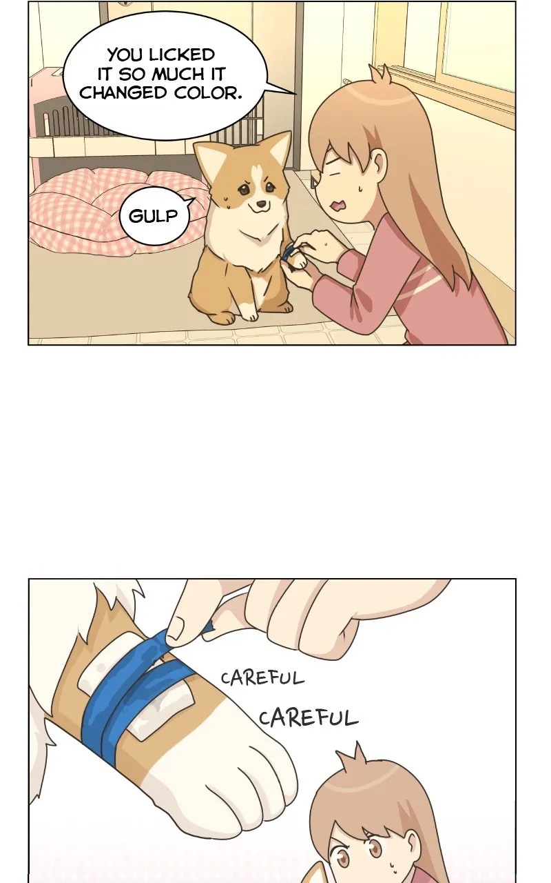 Read The Dog Diaries chapter 84 image 56 on Lezhin