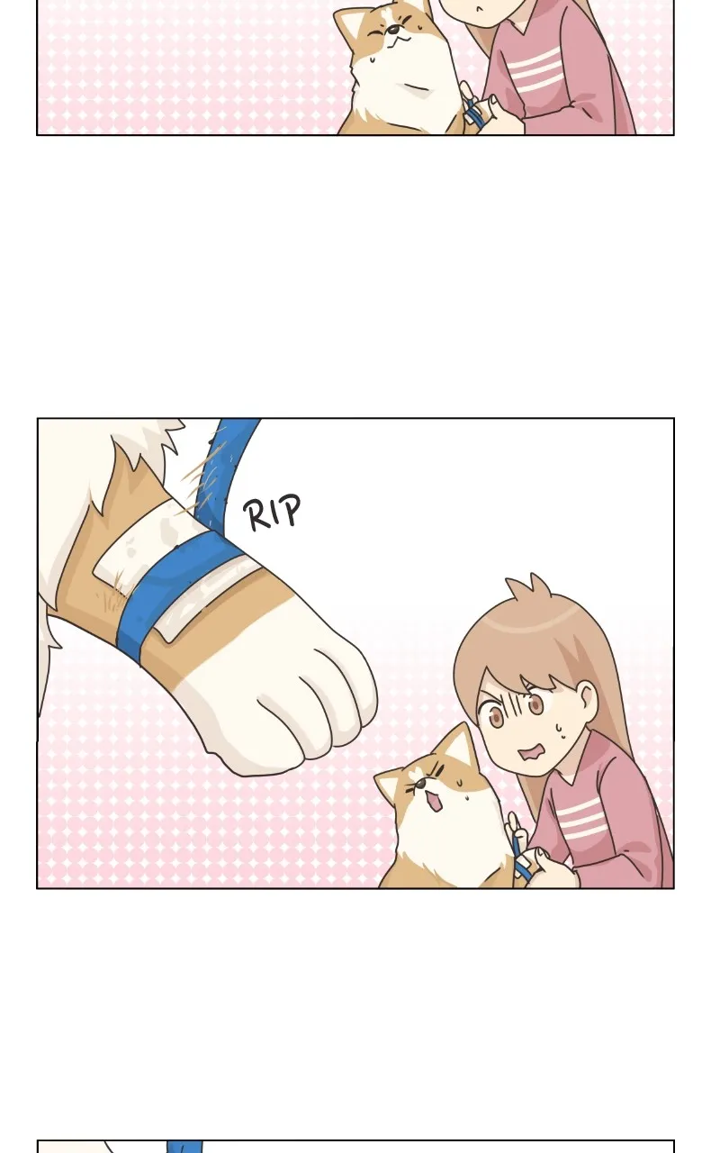 Read The Dog Diaries chapter 84 image 57 on Lezhin