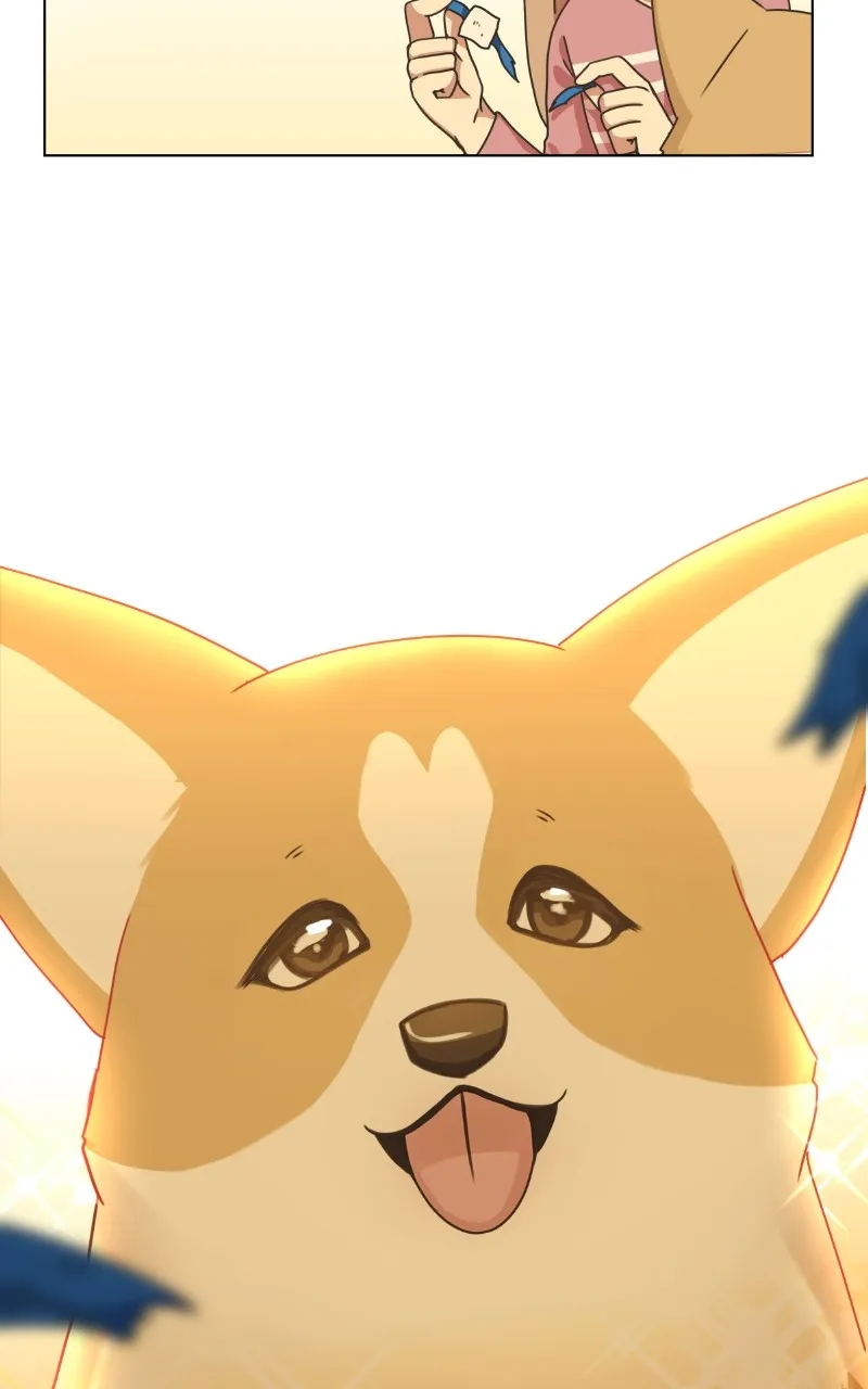Read The Dog Diaries chapter 84 image 59 on Lezhin