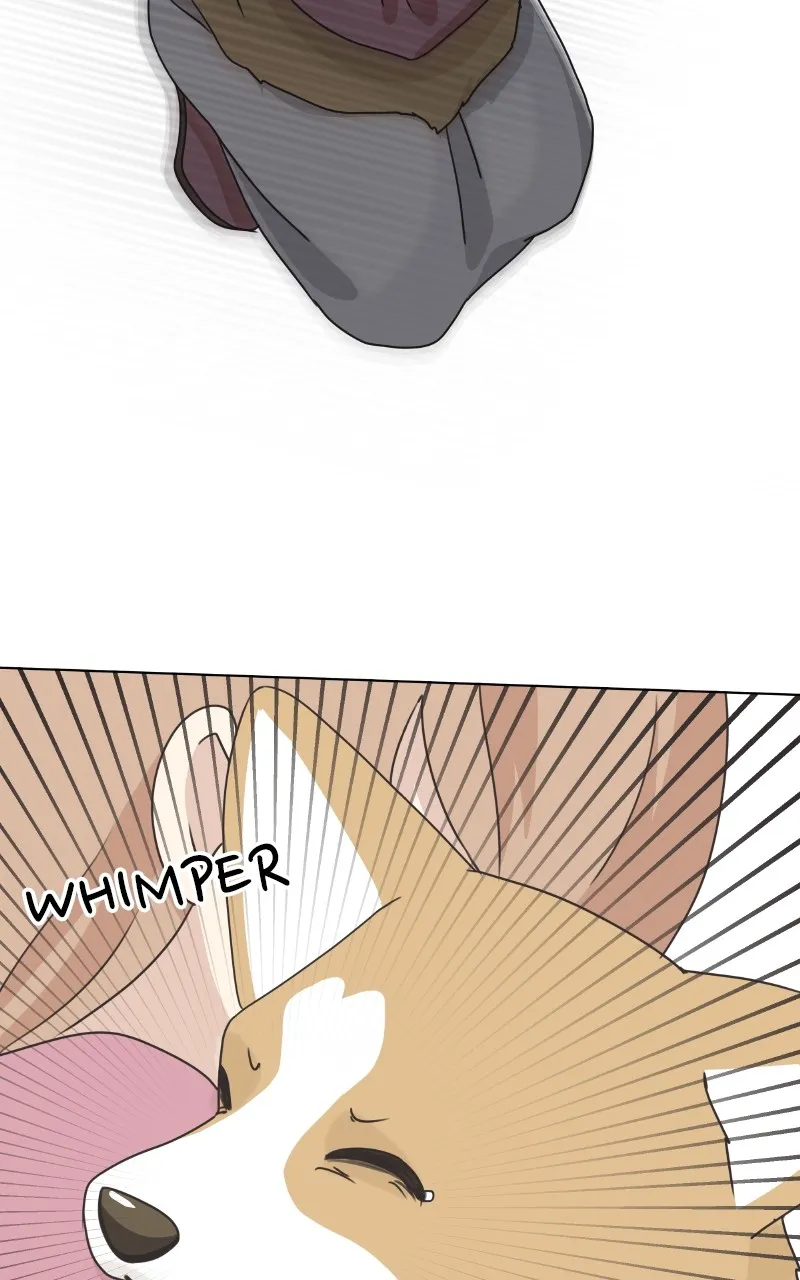 Read The Dog Diaries chapter 84 image 6 on Lezhin
