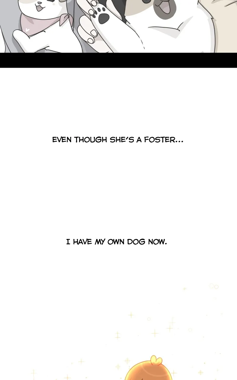 Read The Dog Diaries chapter 84 image 63 on Lezhin