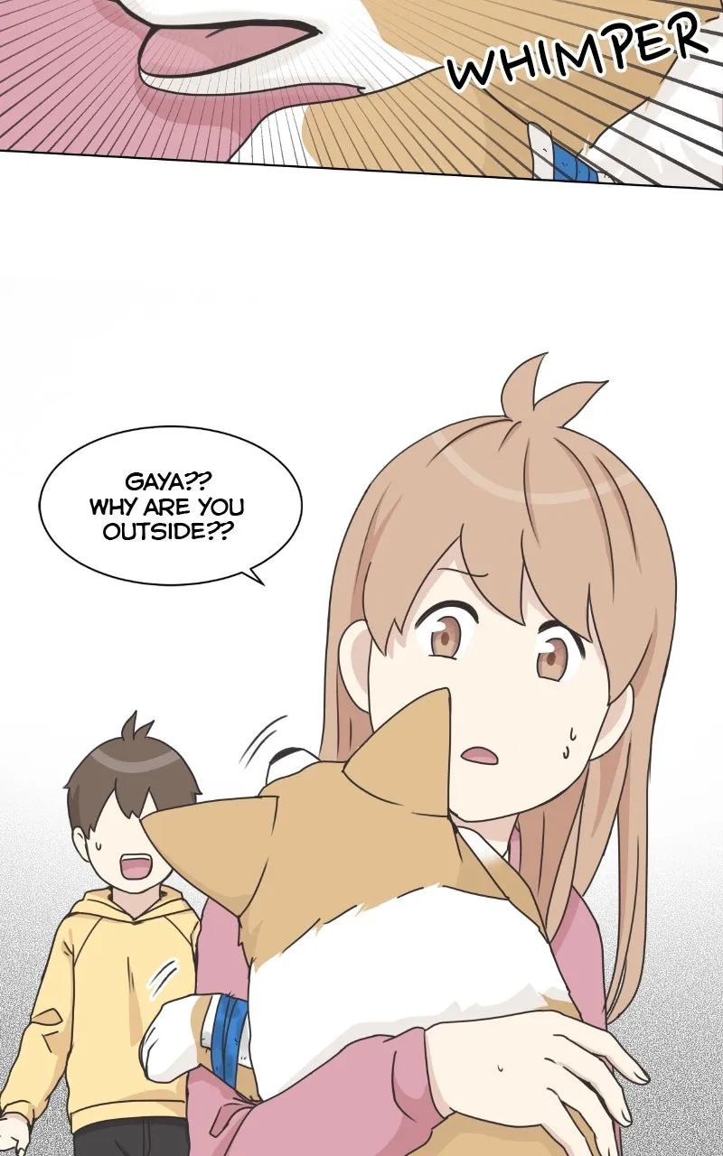 Read The Dog Diaries chapter 84 image 7 on Lezhin