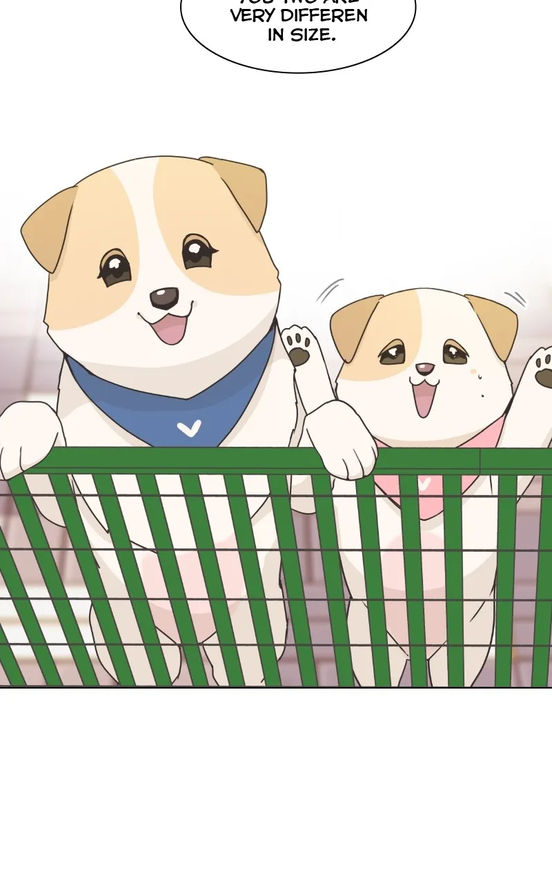 Read The Dog Diaries chapter 84 image 73 on Lezhin