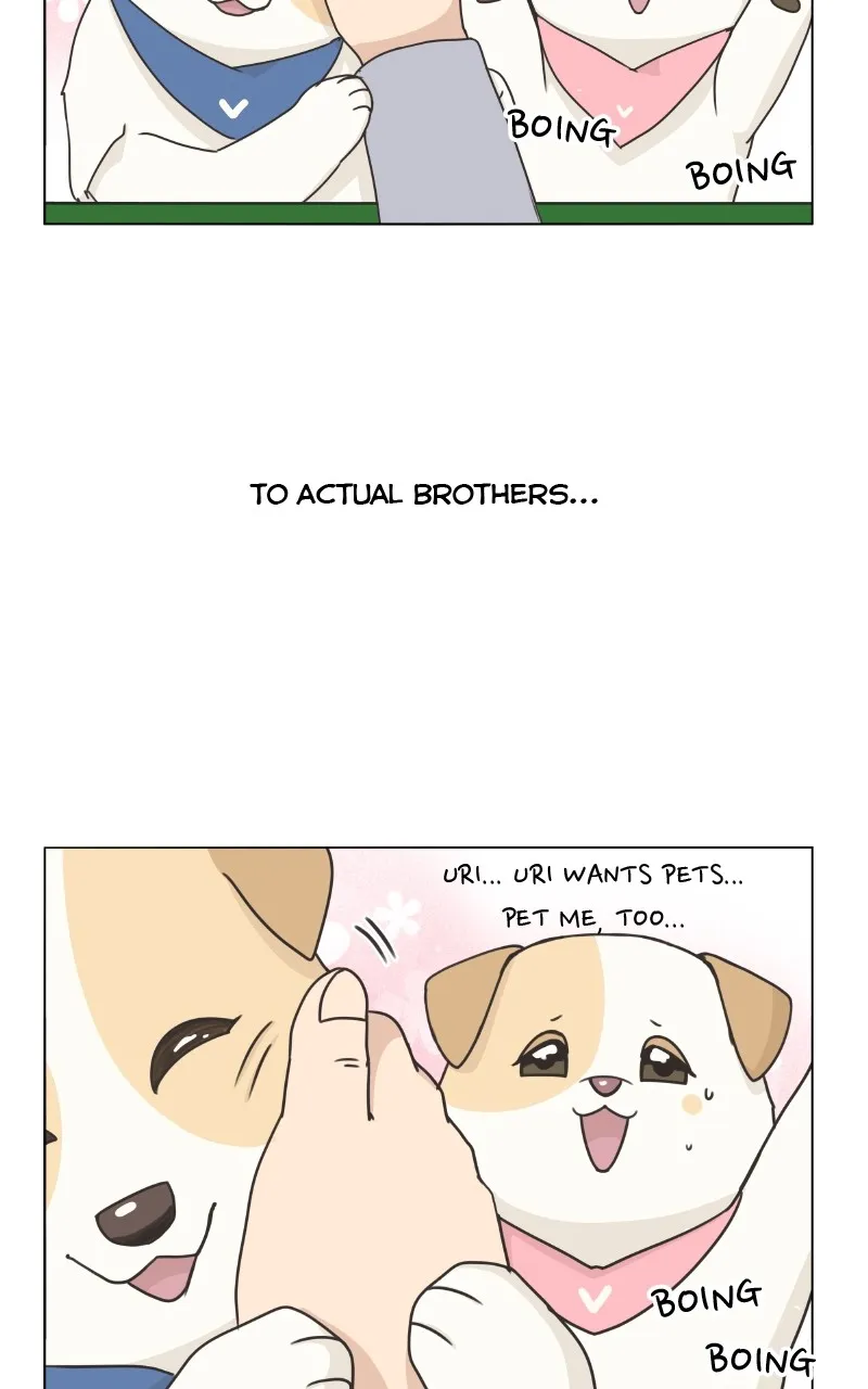 Read The Dog Diaries chapter 84 image 76 on Lezhin