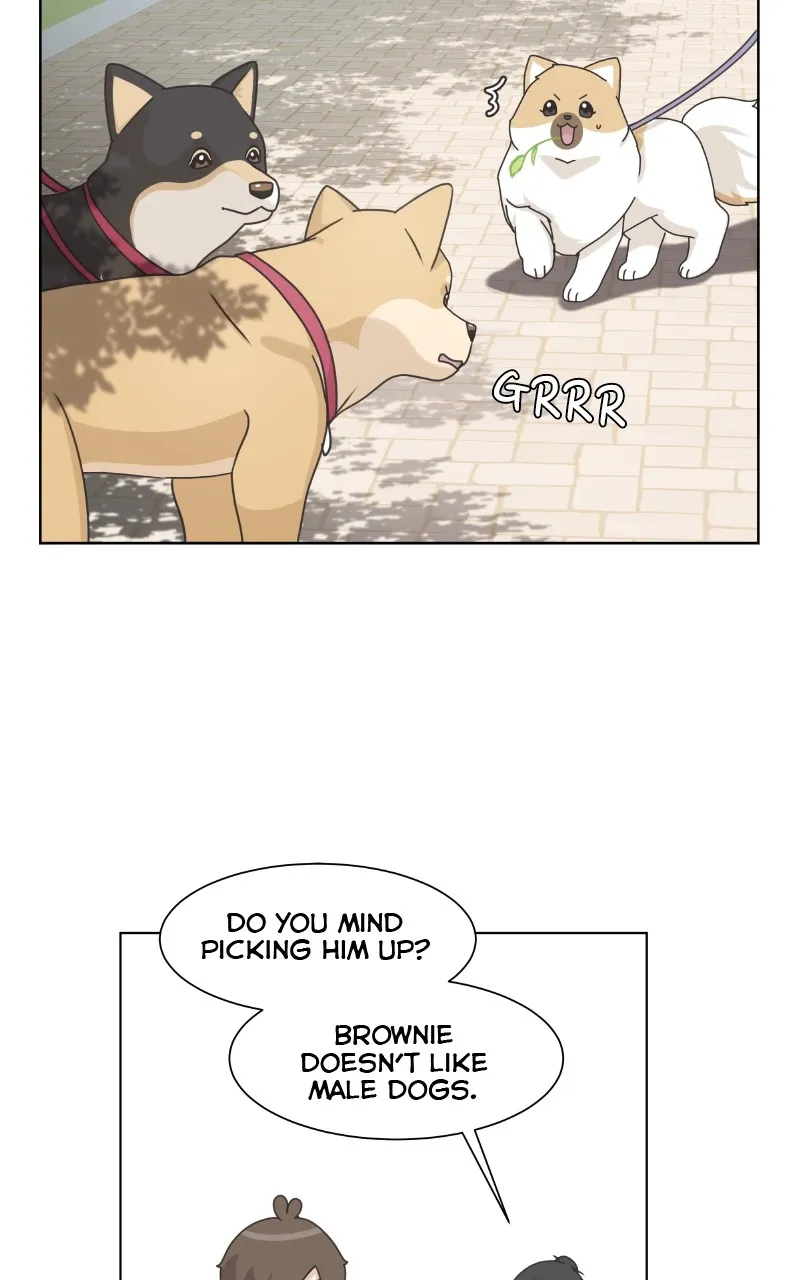 Read The Dog Diaries chapter 93 image 11 on Lezhin