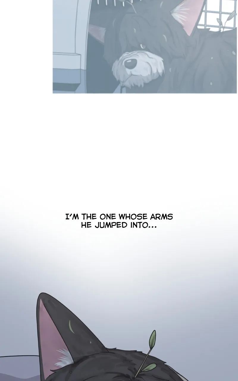 Read The Dog Diaries chapter 93 image 34 on Lezhin