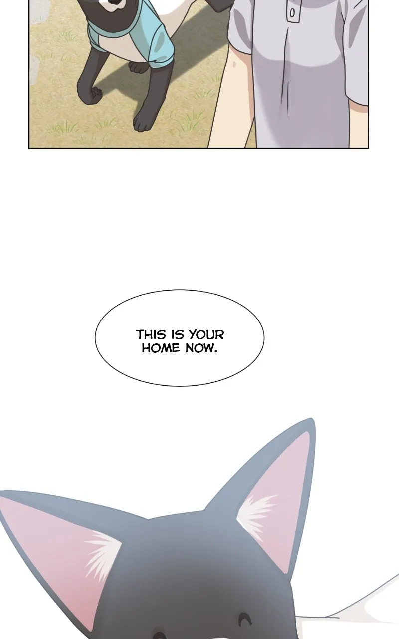 Read The Dog Diaries chapter 93 image 60 on Lezhin