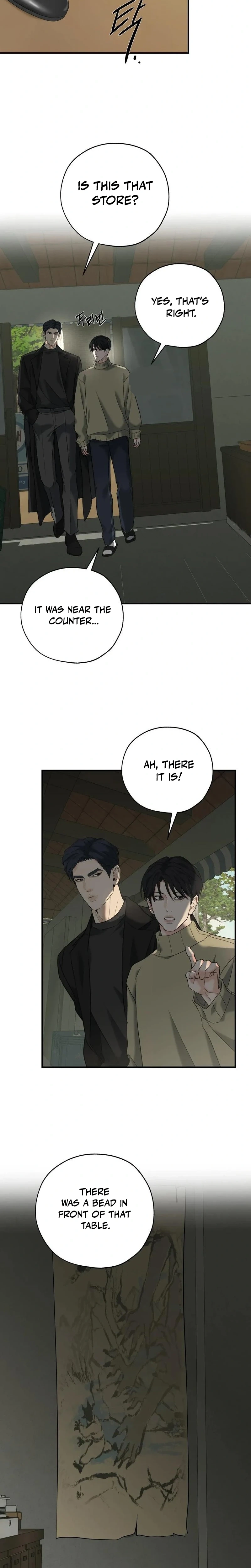 The Dokkaebi's Soul Qi Bride Chapter 21 page 15 - 