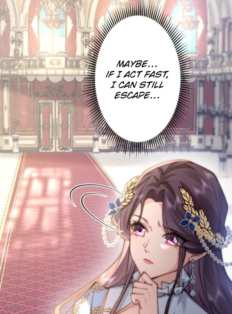 Read The Dowager’s Radiant Rise chapter 1 image 19 on Lezhin