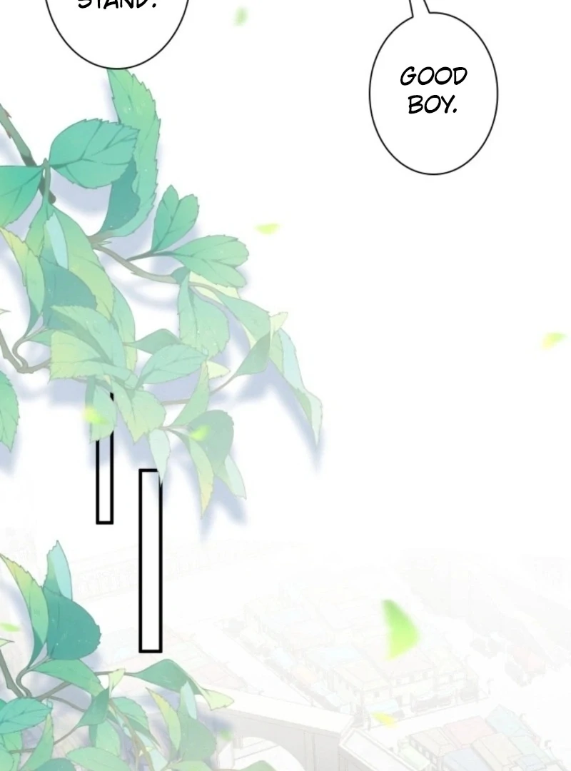 Read The Dowager’s Radiant Rise chapter 5 image 84 on Lezhin