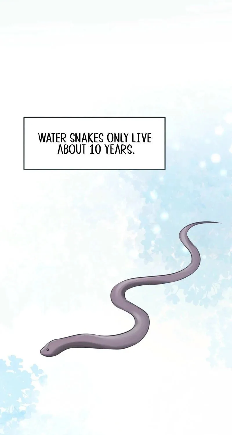 The Dragon King's Favor Chapter 1 page 13 - 