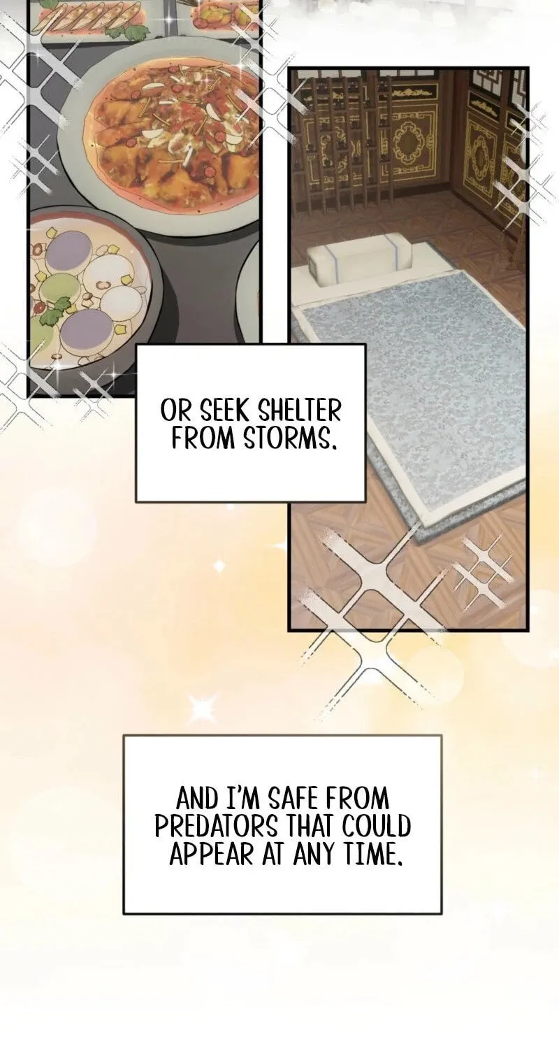 The Dragon King's Favor Chapter 1 page 17 - 