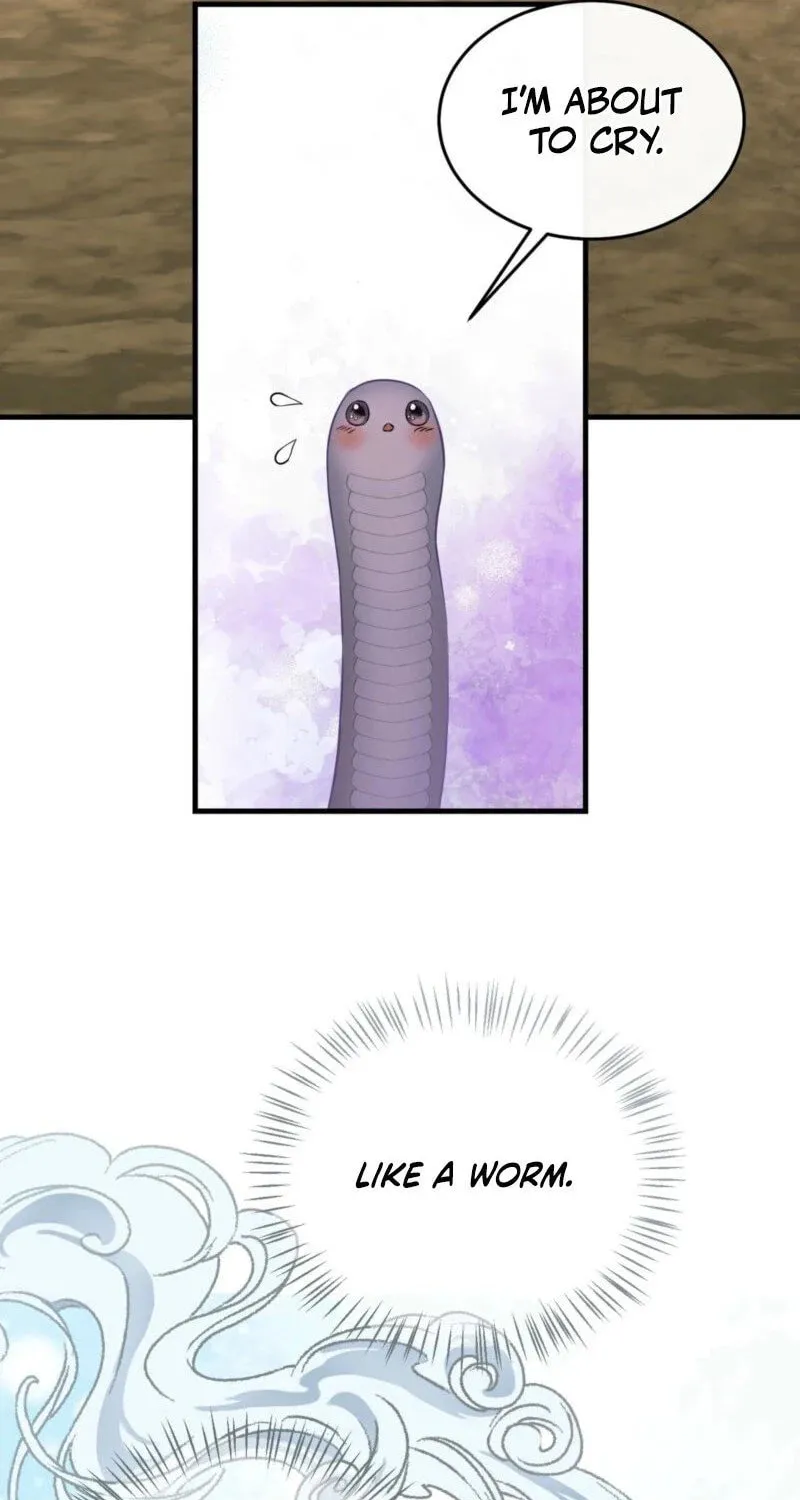 The Dragon King's Favor Chapter 1 page 7 - 