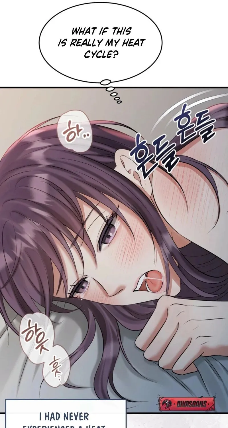 The Dragon King's Favor Chapter 2 page 16 - 