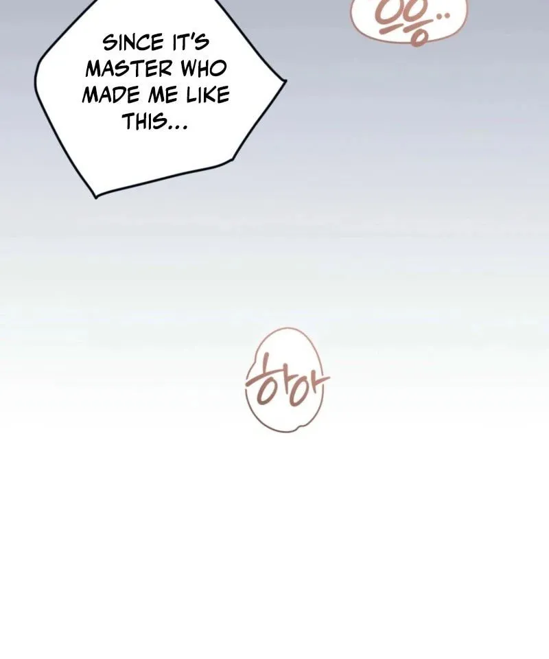 The Dragon King's Favor Chapter 2 page 48 - 