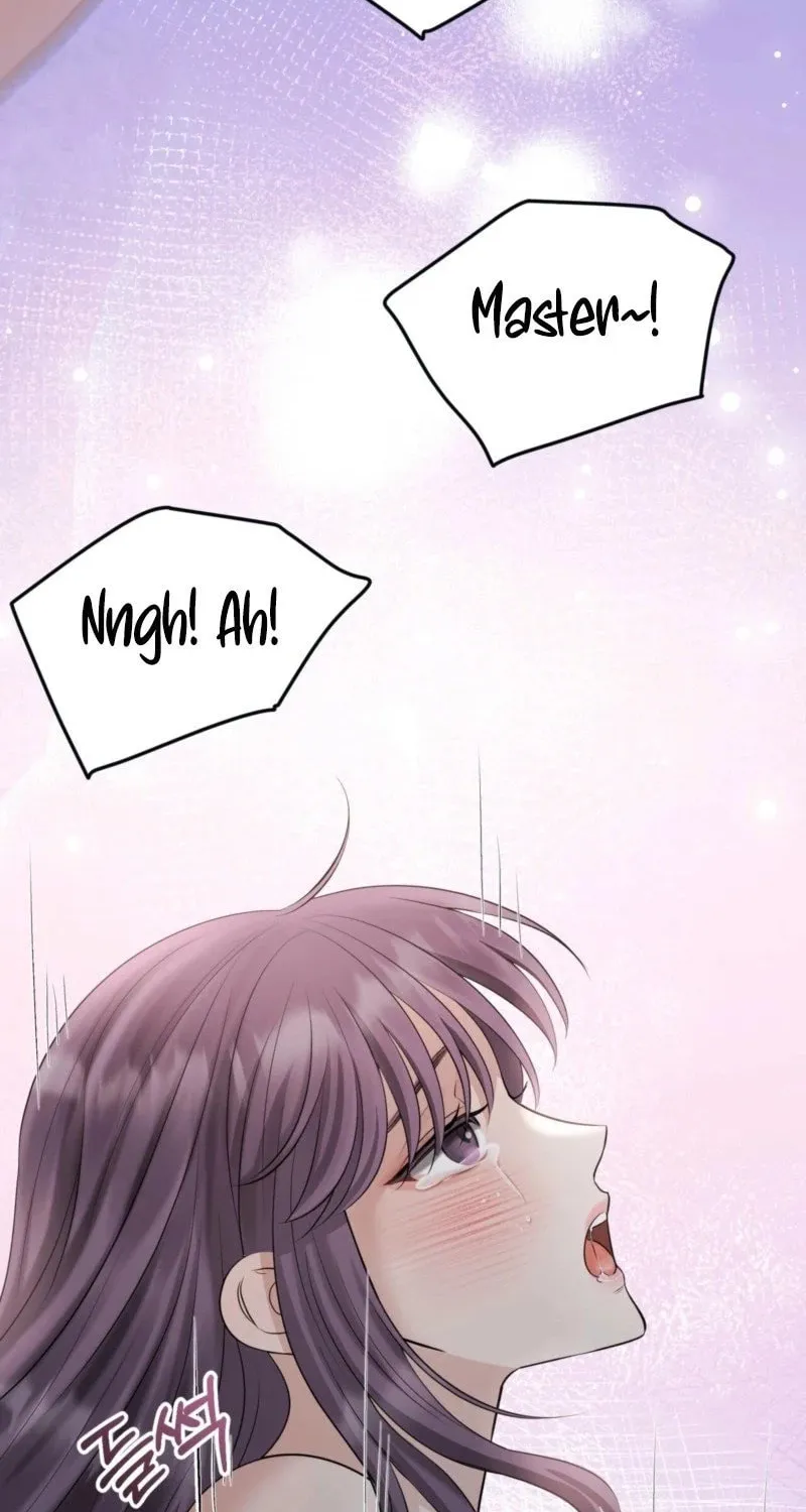 The Dragon King's Favor Chapter 2 page 56 - 