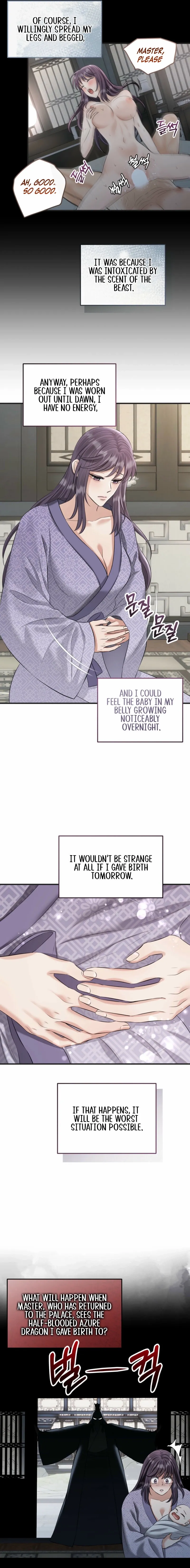 The Dragon King's Favor Chapter 6 page 11 - 