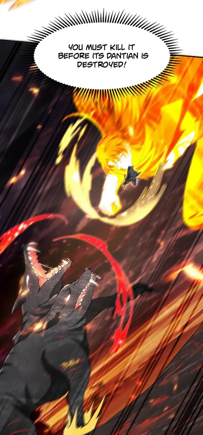 Read The Dragon King