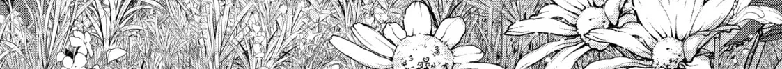 Read The Dragon Knight’s Beloved chapter 27 image 1 on Lezhin