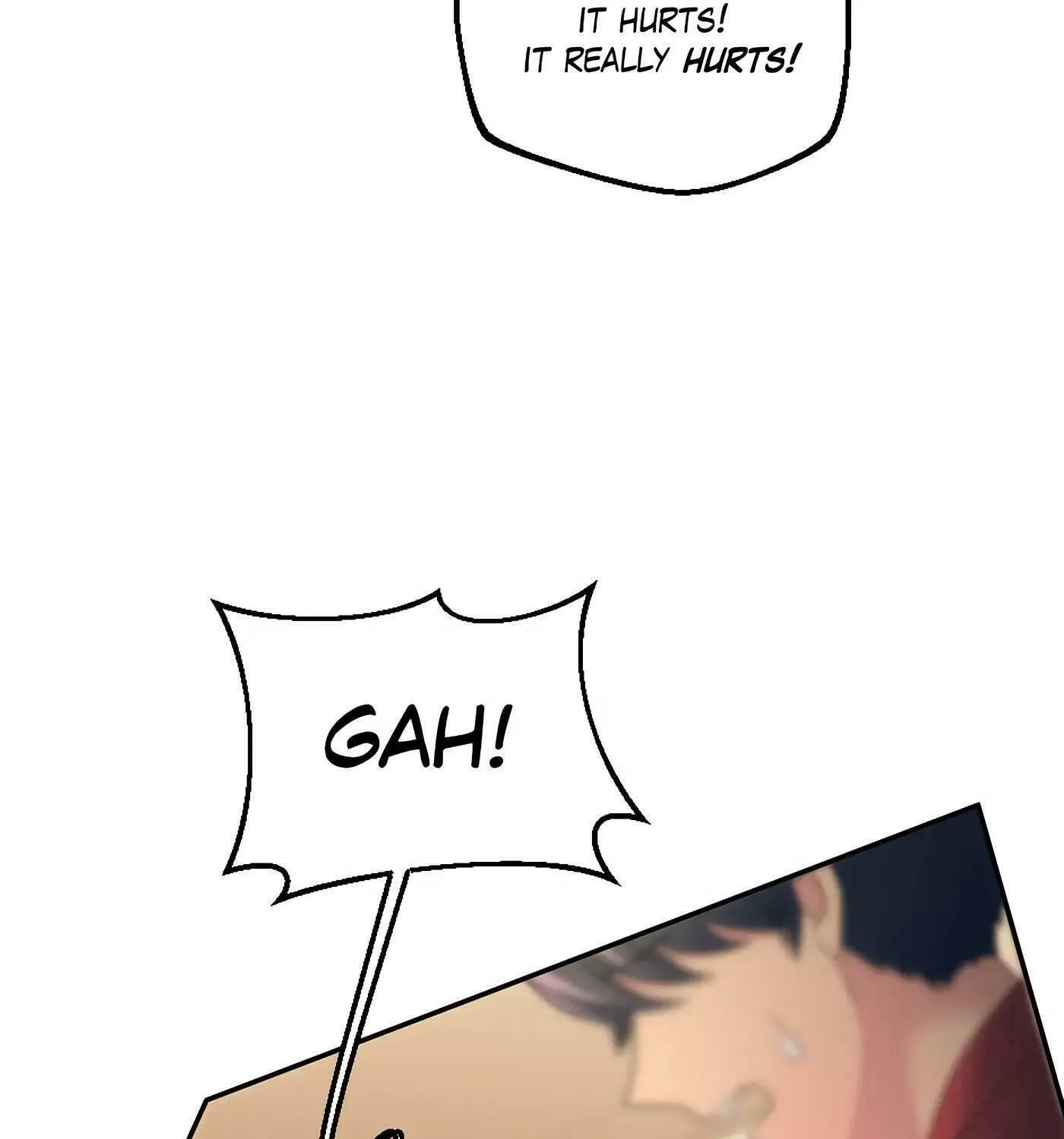 Read The Dragon Prince